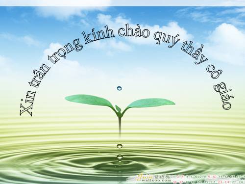 Tuần 16. Thầy cúng đi bệnh viện
