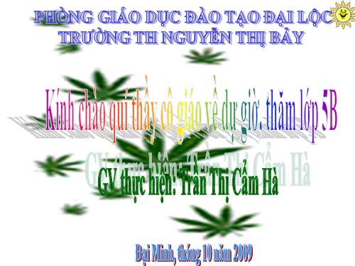 Tuần 9. Đất Cà Mau