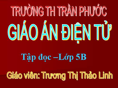 Tuần 13. Người gác rừng tí hon