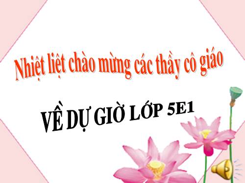 Tuần 9. Đất Cà Mau