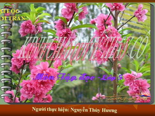 Tuần 4. Bài ca về trái đất