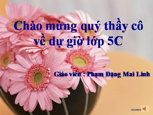 Tuần 8. Trước cổng trời