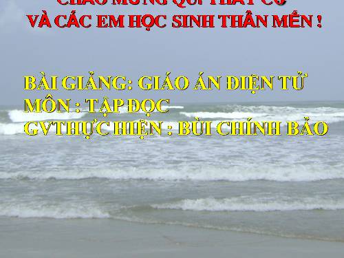 Tuần 11. Tiếng vọng