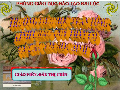 Tuần 23. Phân xử tài tình