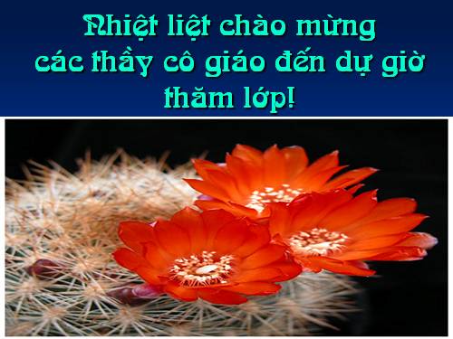 Tuần 16. Thầy thuốc như mẹ hiền