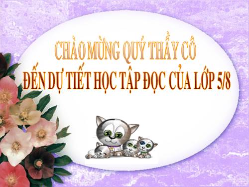 Tuần 12. Mùa thảo quả