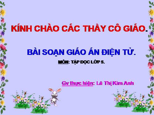 Tuần 30. Tà áo dài Việt Nam