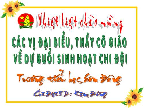 Sinh hoạt đội 2008 - 2009