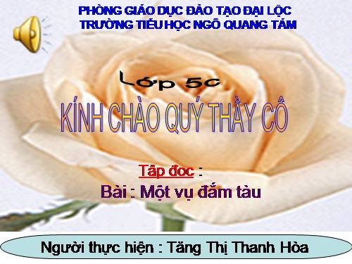 Tuần 29. Một vụ đắm tàu