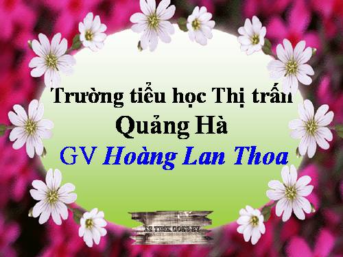 Tuần 12. Mùa thảo quả