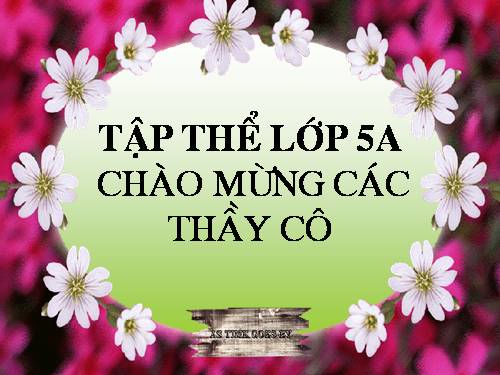 Tuần 12. Mùa thảo quả