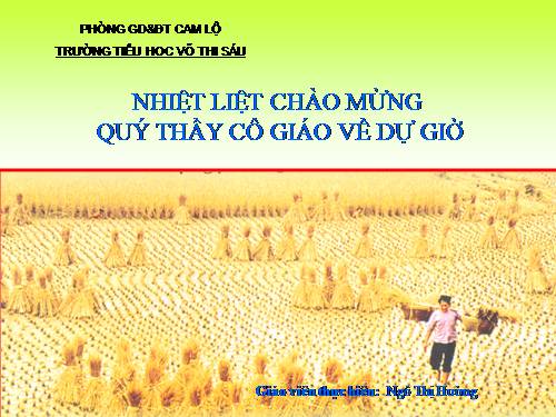 Tuần 14. Hạt gạo làng ta