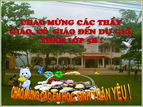 Tuần 14. Hạt gạo làng ta