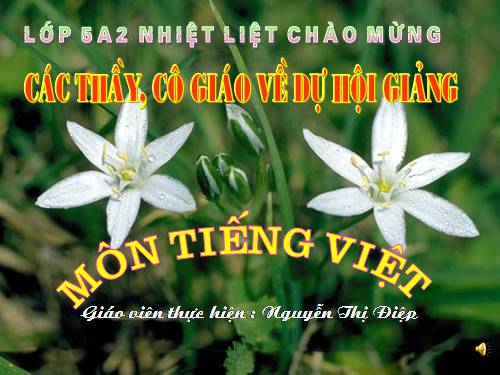 Tuần 12. Hành trình của bầy ong