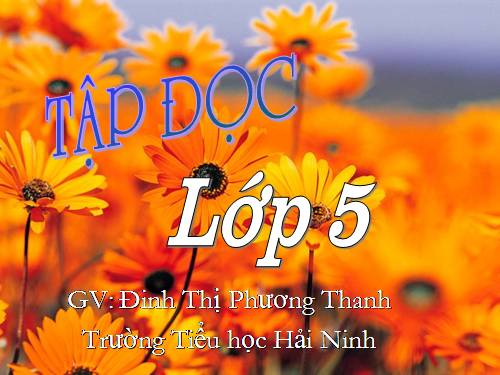 Tuần 12. Hành trình của bầy ong