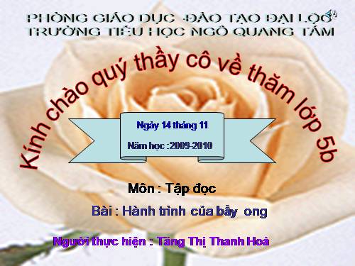 Tuần 12. Hành trình của bầy ong