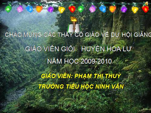 Tuần 13. Người gác rừng tí hon