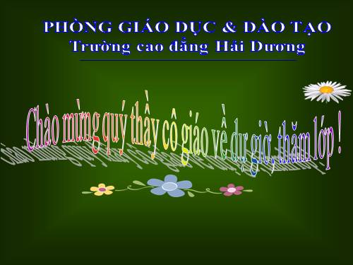 Tuần 13. Người gác rừng tí hon