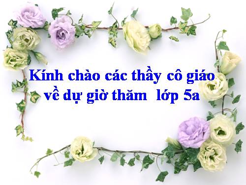 Tuần 9. Đất Cà Mau