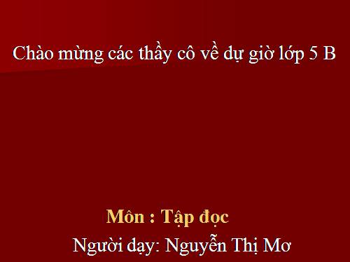 Tuần 12. Hành trình của bầy ong