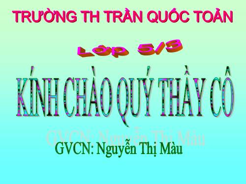 Tuần 13. Trồng rừng ngập mặn