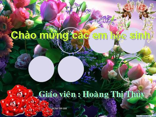 Tuần 11. Chuyện một khu vườn nhỏ