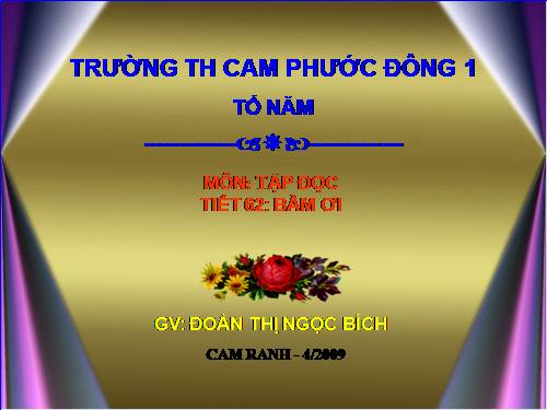 Tuần 31. Bầm ơi