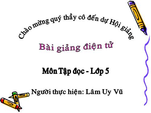 Tuần 13. Trồng rừng ngập mặn
