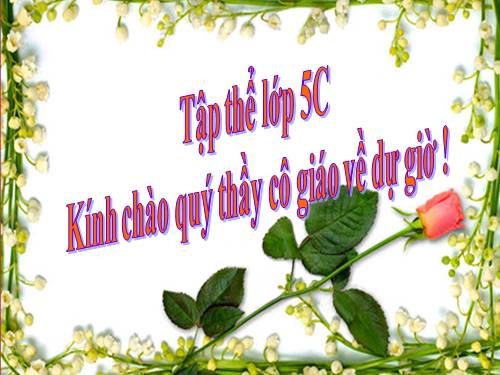 Tuần 17. Ngu Công xã Trịnh Tường