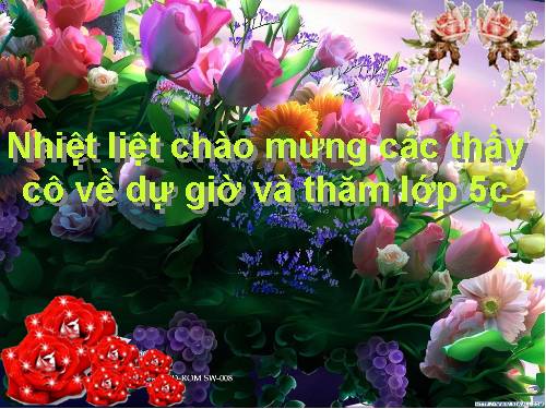 Tuần 11. Chuyện một khu vườn nhỏ