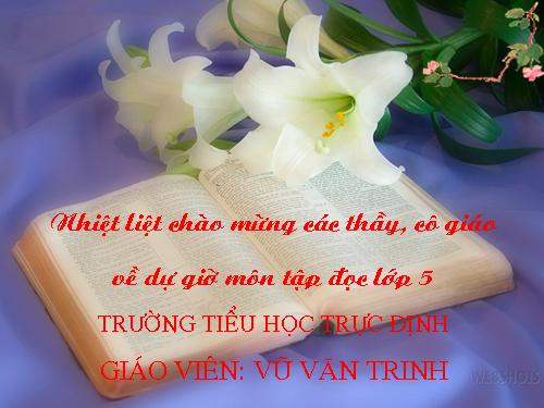 Tuần 11. Tiếng vọng