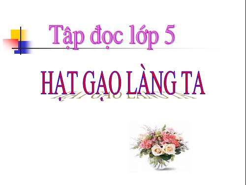 Tuần 14. Hạt gạo làng ta