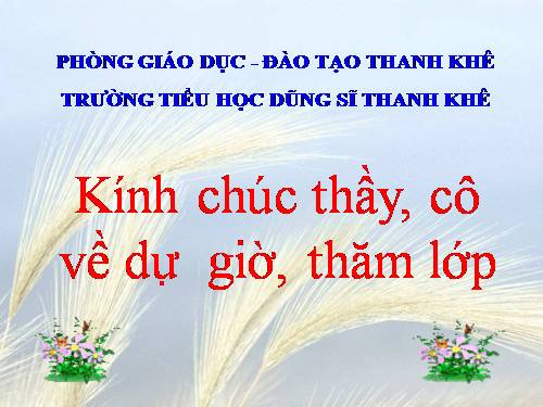 Tuần 30. Thuần phục sư tử