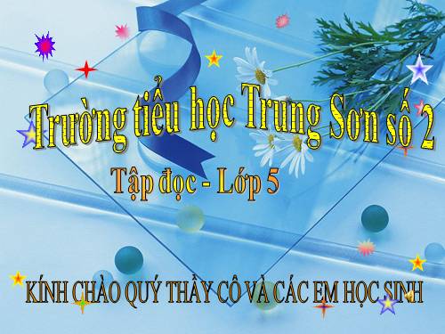 Tuần 9. Đất Cà Mau