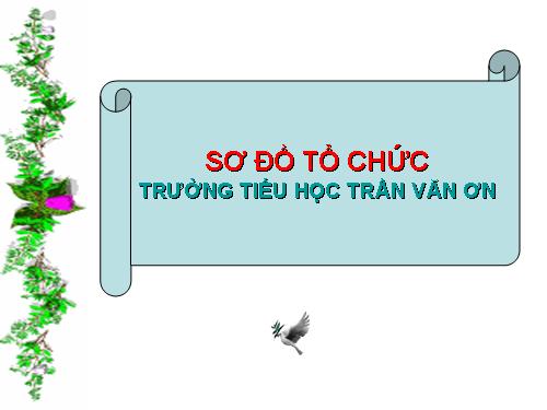 SƠ ĐỒ TỔ CHỨC TRƯỜNG TH TRẦN VĂN ƠN