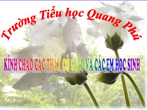 Tuần 8. Kì diệu rừng xanh