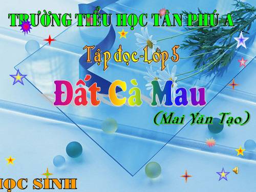 Tuần 9. Đất Cà Mau