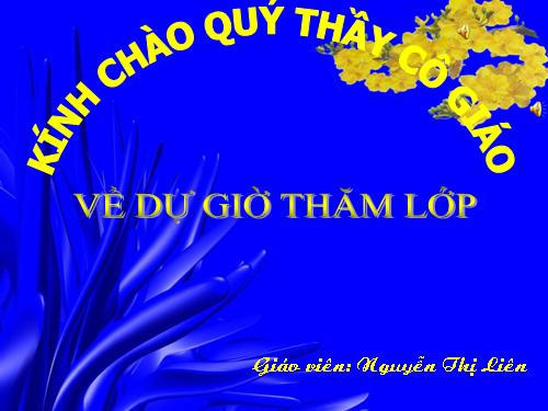 Tuần 11. Chuyện một khu vườn nhỏ