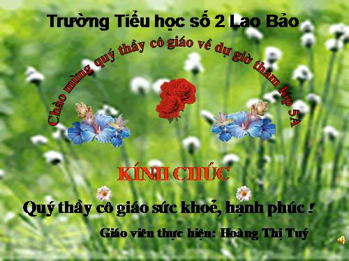 Tuần 5. Một chuyên gia máy xúc