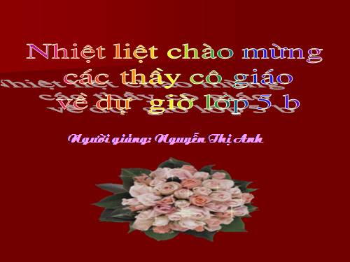 Tuần 25. Cửa sông