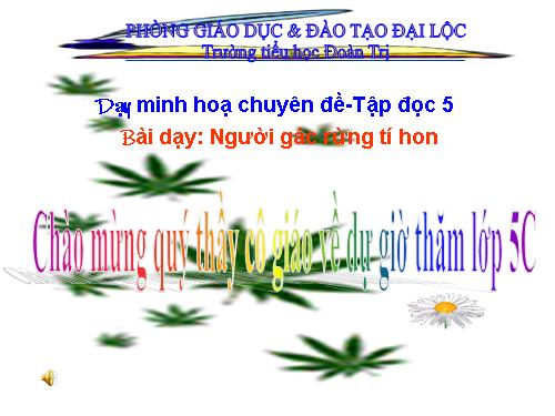 Tuần 13. Người gác rừng tí hon