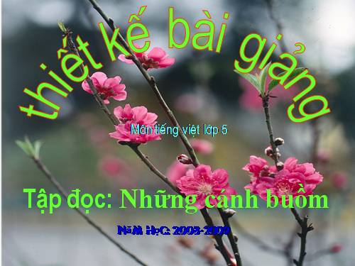 Tuần 32. Những cánh buồm