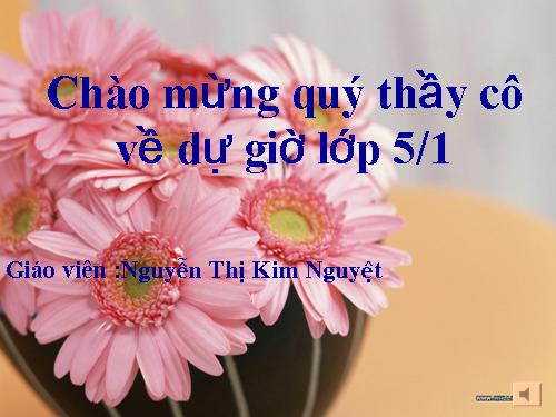 Tuần 8. Trước cổng trời