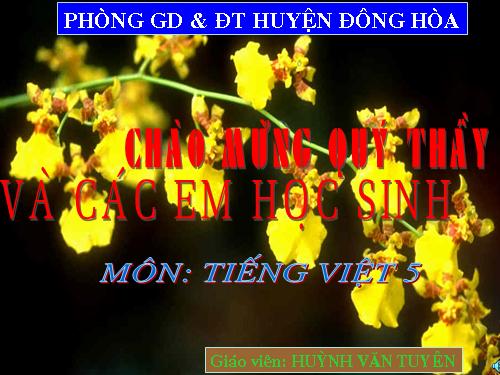 Tuần 29. Một vụ đắm tàu