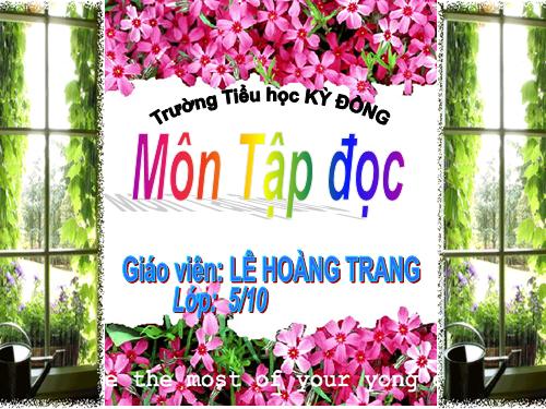 Tuần 29. Một vụ đắm tàu