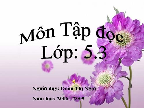 Tuần 31. Bầm ơi