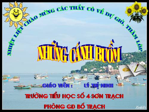 Tuần 32. Những cánh buồm