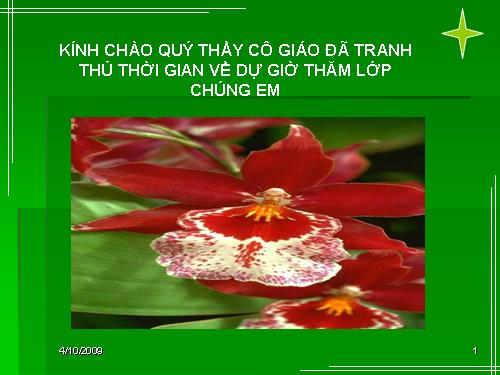 Tuần 8. Kì diệu rừng xanh