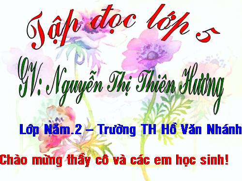 Tuần 30. Thuần phục sư tử