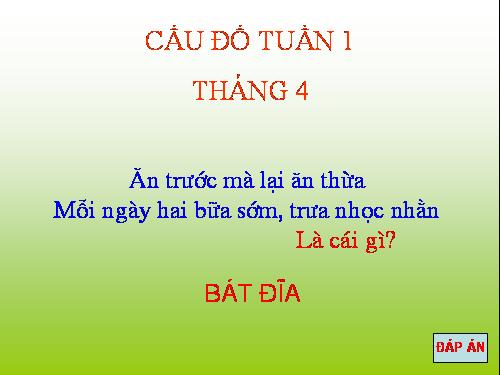 Câu đố 1